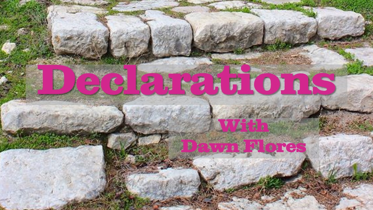 Living stone-rose letting