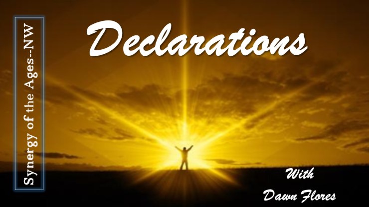 Favor Shield-Synergy-8-6-18