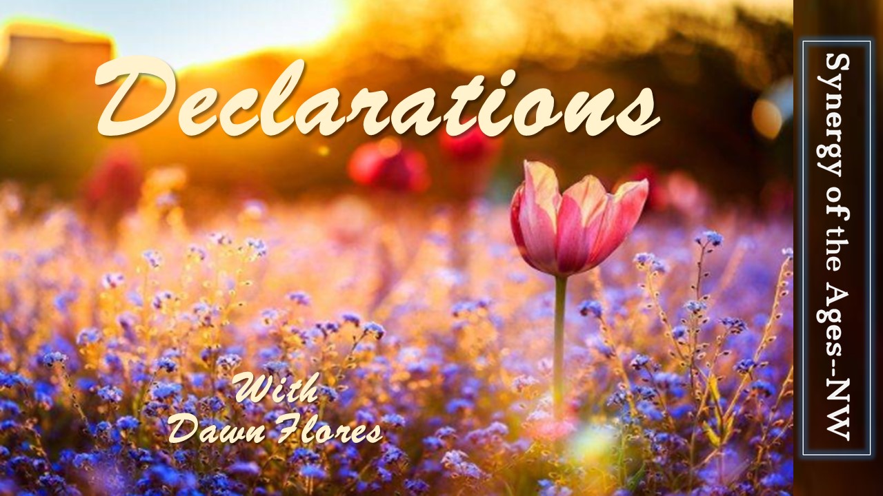 field of flowers-Synergy-9.12.18